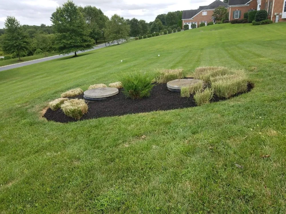 Reliable lawn care service experts serving Baltimore, MD - Carlos Landcasping