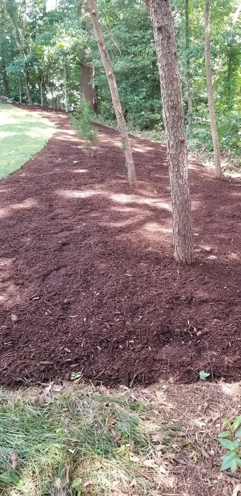 Local lawn care service in Baltimore, MD by Carlos Landcasping