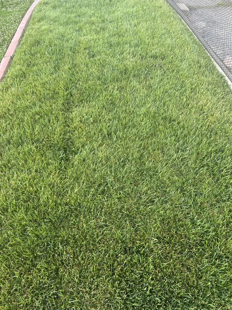 Professional landscape design with custom design across Encinitas, CA - Carlos Landscape Maintenance