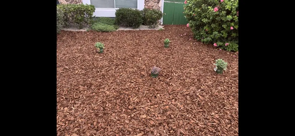 Custom landscaping services in Encinitas, CA by Carlos Landscape Maintenance