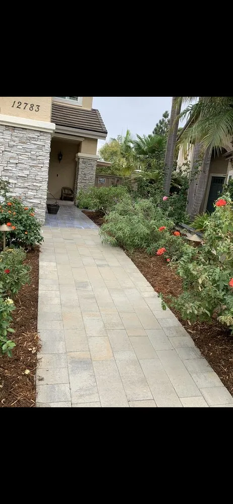 Custom yard cleanup service experts serving Encinitas, CA - Carlos Landscape Maintenance