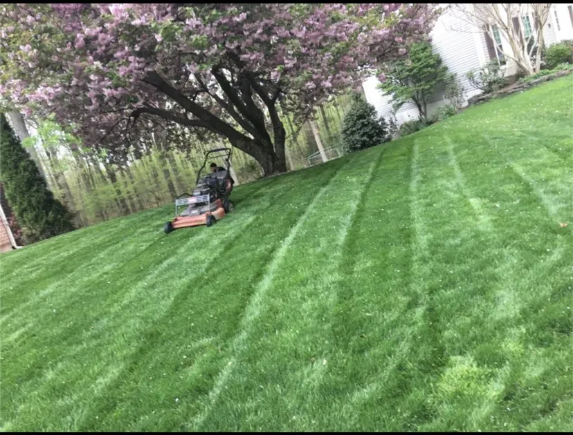 Affordable lawn mowing service in Alexandria, VA - Carlos Landscaping