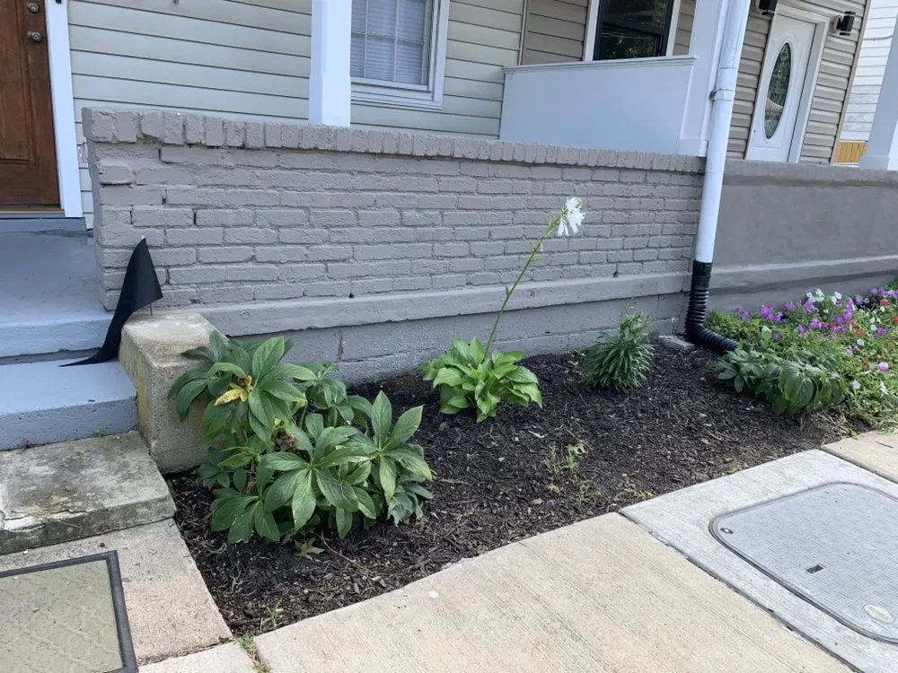 Custom yard maintenance in Alexandria, VA - Carlos Landscaping