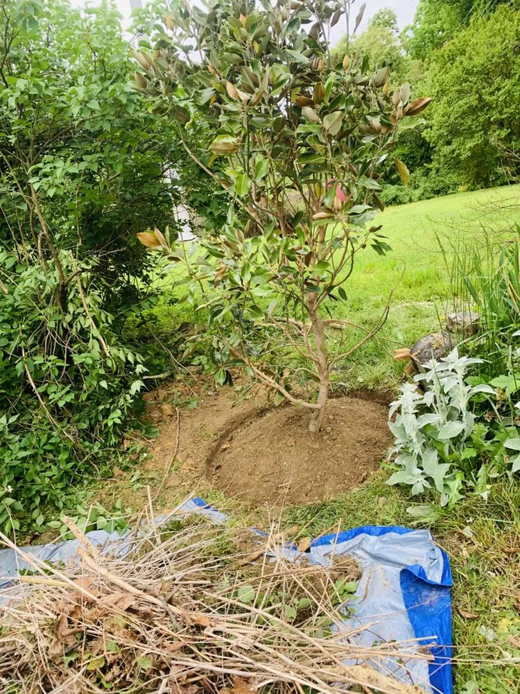 Expert outdoor landscaping near you in Alexandria, VA by Carlos Landscaping