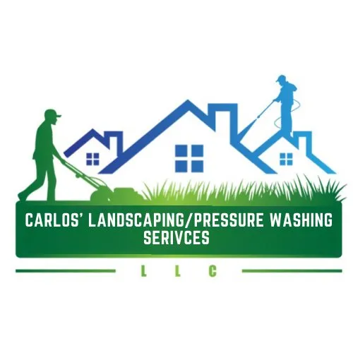 Custom residential landscaping with custom design in Alexandria, VA by Carlos Landscaping
