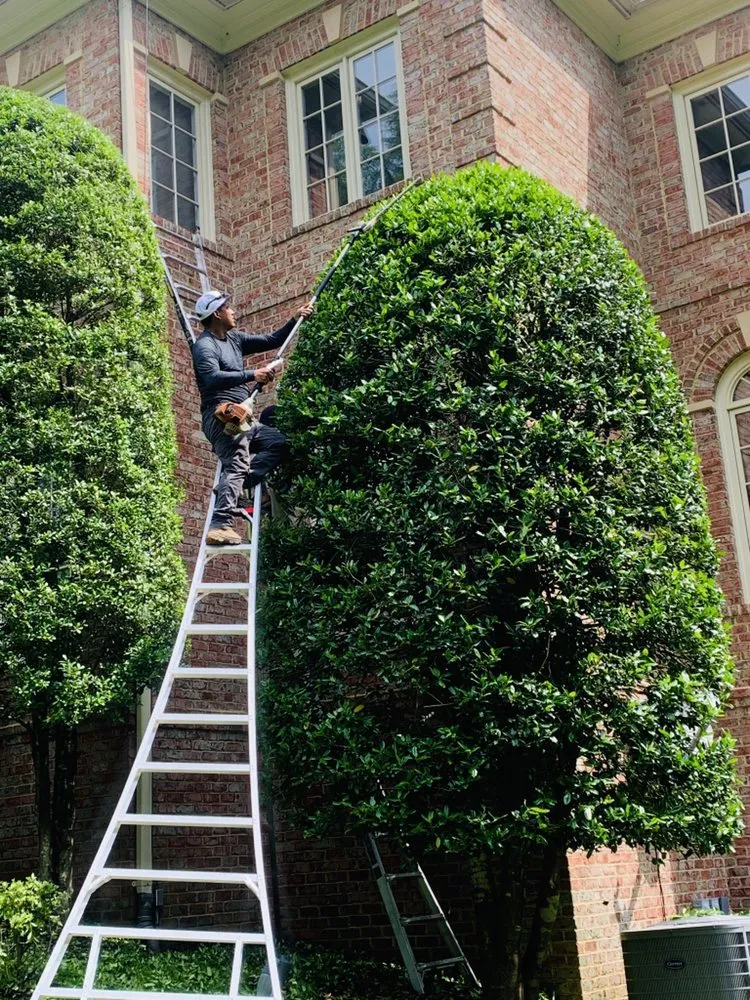 Affordable lawn care service for residential properties across Alexandria, VA - Carlos Landscaping