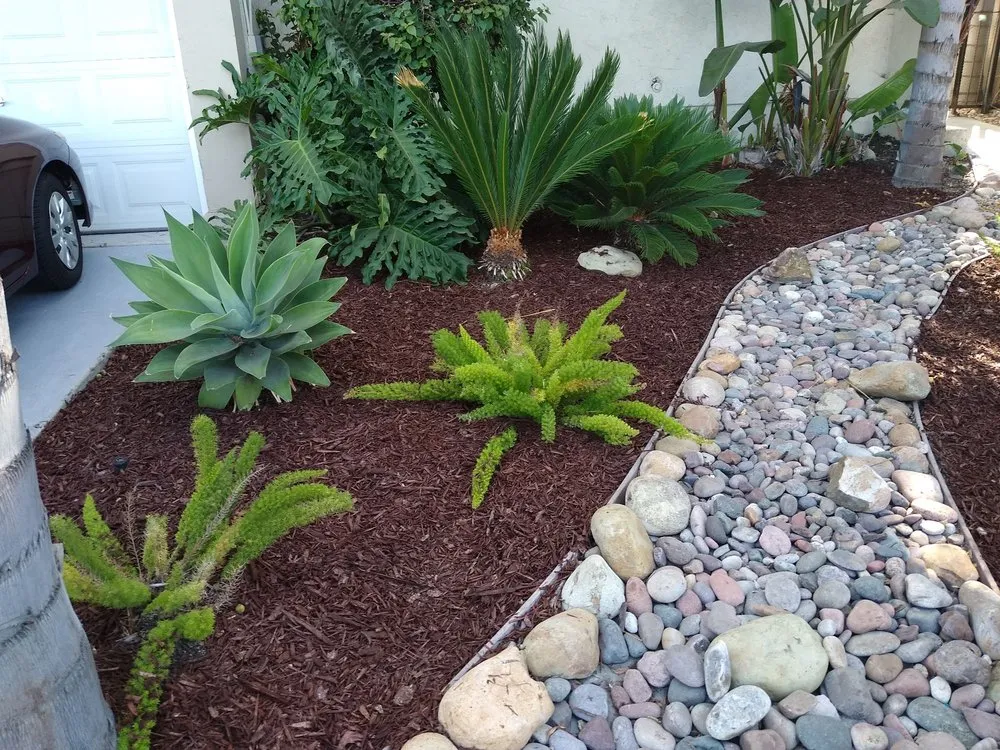 Affordable landscape design with custom design in El Cajon, CA by Carlos landscaping and gardening
