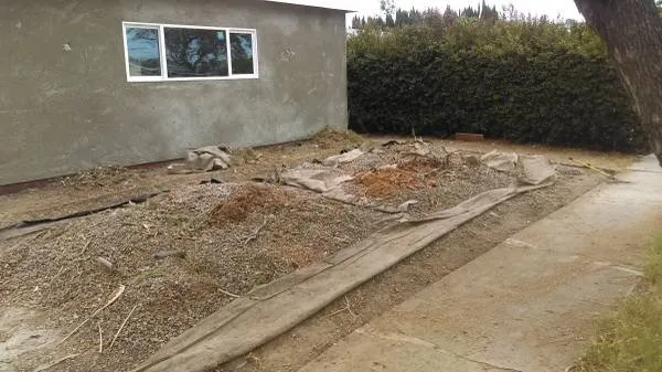 Professional outdoor landscaping experts serving El Cajon, CA - Carlos landscaping and gardening