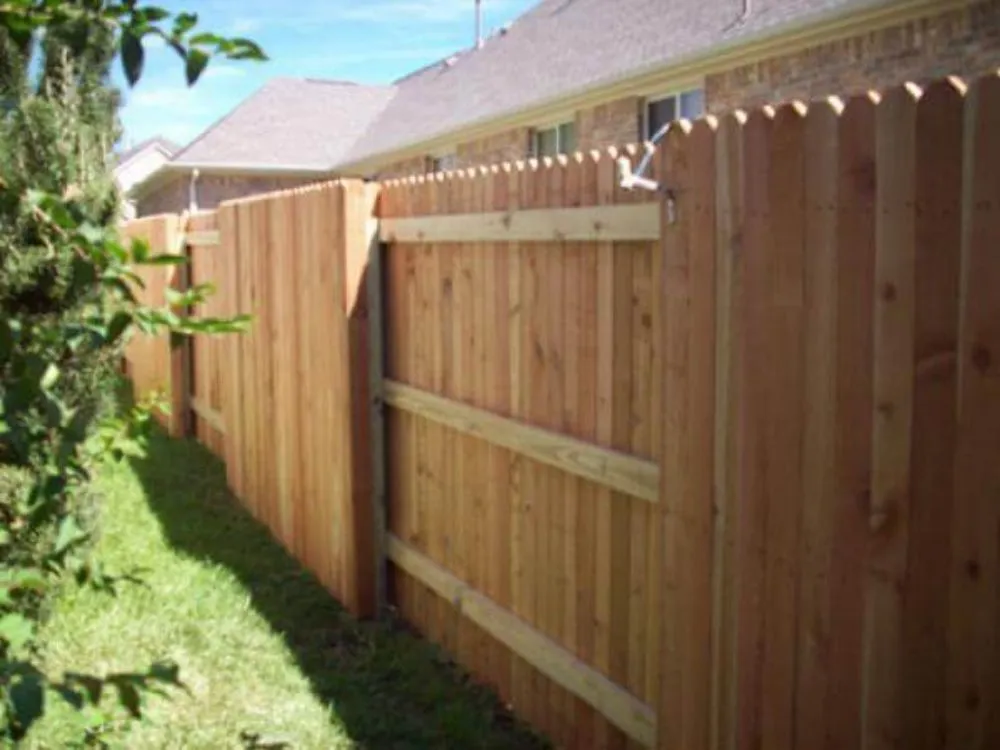Trusted yard cleanup service experts serving Denver, CO - Carlos Landscaping