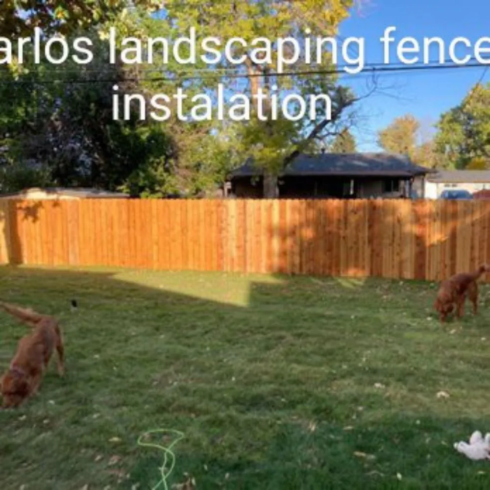Top-rated lawn mowing service near you across Denver, CO - Carlos Landscaping