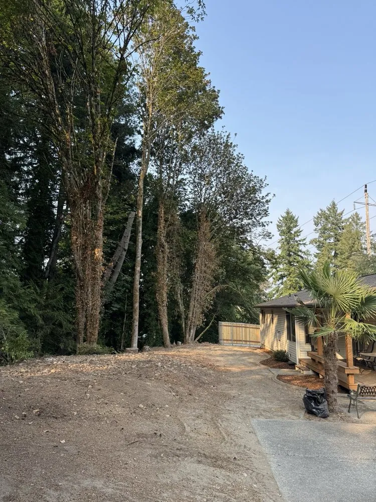 Professional yard maintenance in Gig Harbor, WA - Carlos Landscaping
