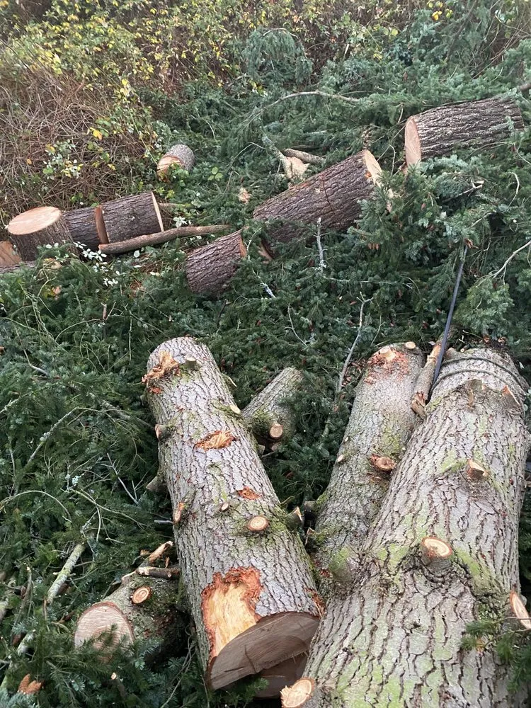 Top-rated outdoor landscaping for beautiful yards across Gig Harbor, WA - Carlos Landscaping