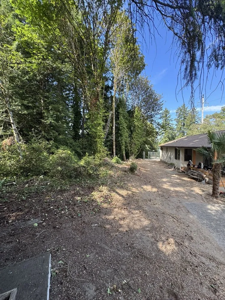 Professional lawn care service in Gig Harbor, WA by Carlos Landscaping