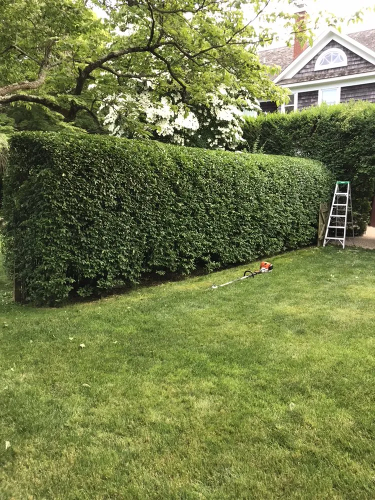 Affordable garden landscaping near you across Hampton Bays, NY - Carlos Landscaping