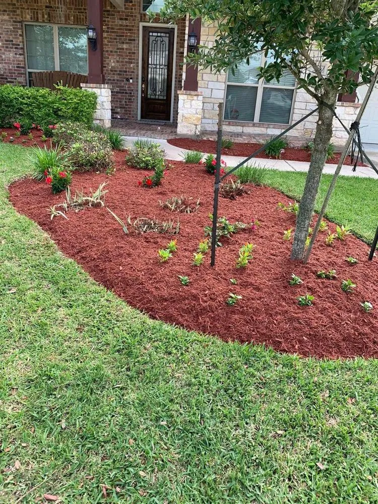 Professional lawn care service experts serving Houston, TX - Carlos landscaping