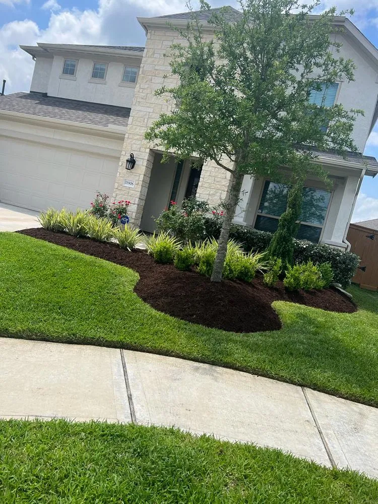 Trusted landscape design in Houston, TX - Carlos landscaping