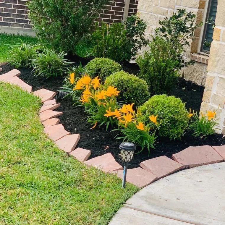 Expert landscape design experts serving Houston, TX - Carlos landscaping