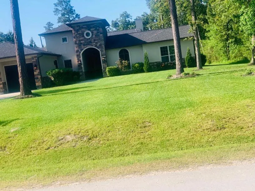 Trusted yard cleanup service in Houston, TX - Carlos landscaping