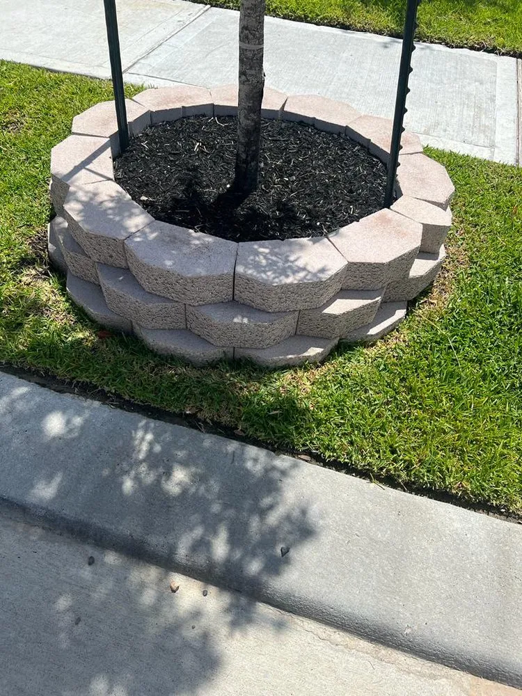 Reliable landscape installation in Houston, TX by Carlos landscaping