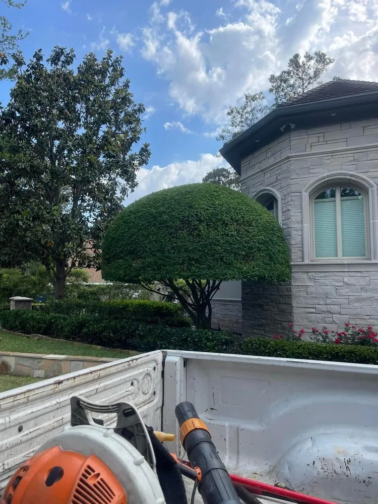 Expert yard maintenance with custom design across Jasper, TX - Carlos Landscaping