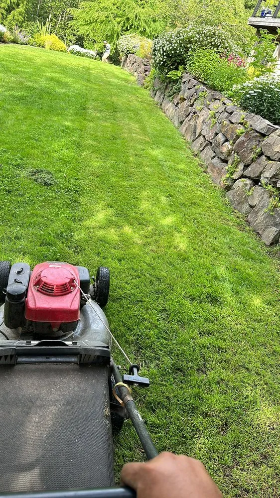 Trusted yard cleanup service for homes across Marysville, WA - Carlos Landscaping