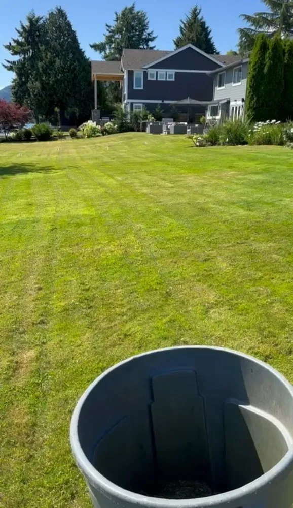 Expert lawn care service in Marysville, WA by Carlos Landscaping