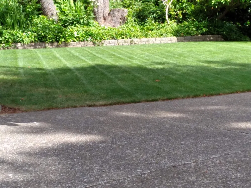 Trusted yard maintenance experts serving Newport, OR - Carlos Landscaping
