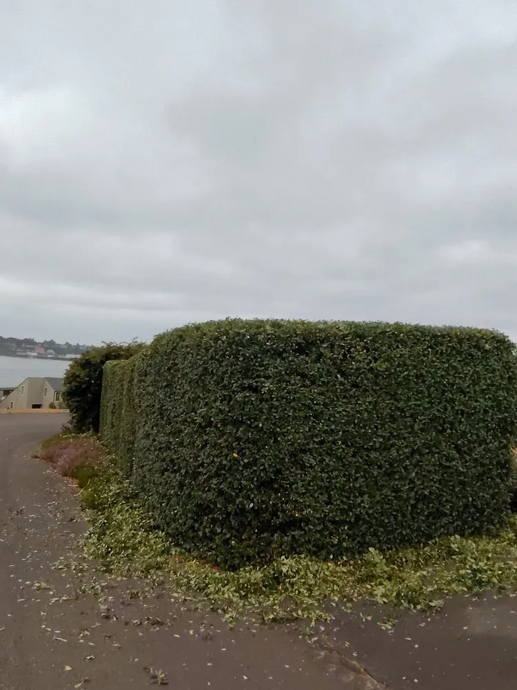 Expert residential landscaping for homes in Newport, OR by Carlos Landscaping