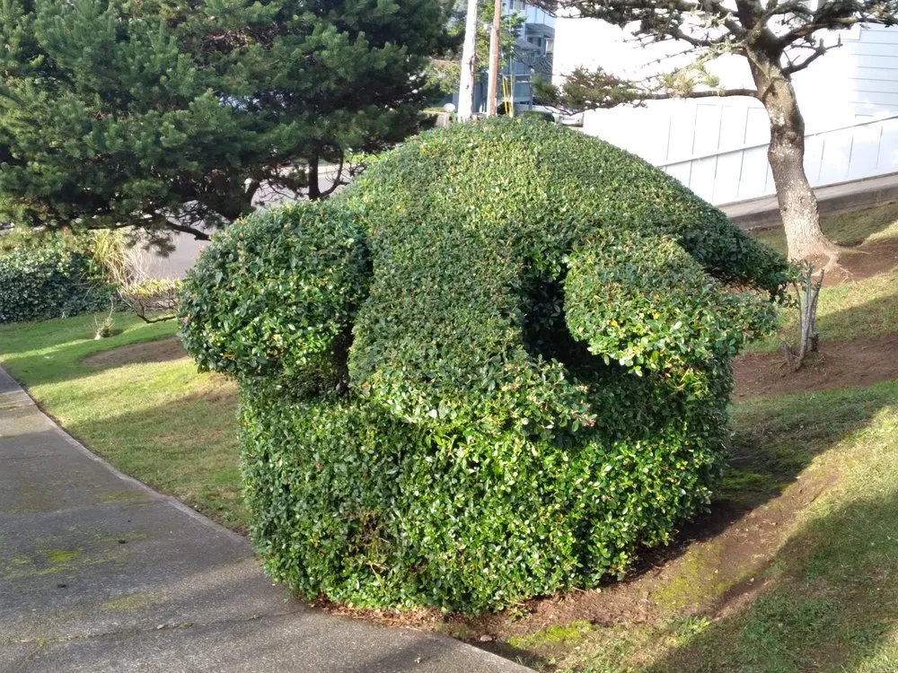 Professional residential landscaping for residential properties in Newport, OR by Carlos Landscaping