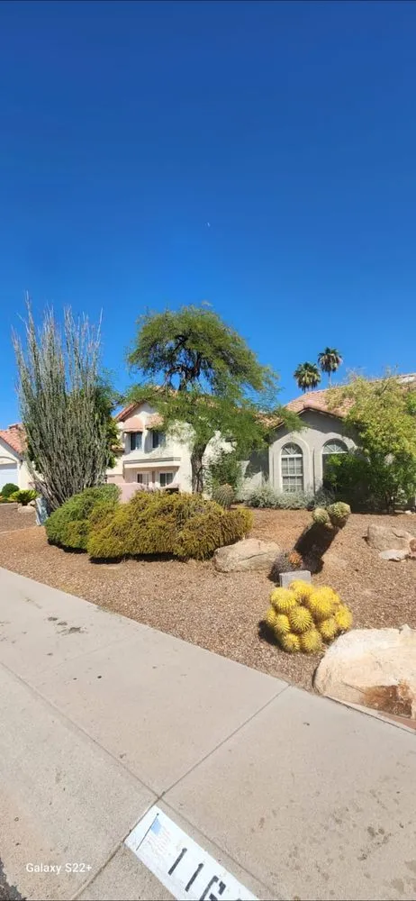 Reliable lawn mowing service experts serving Phoenix, AZ - Carlos landscaping