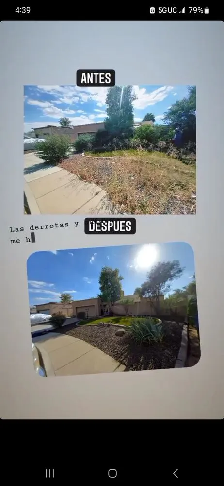 Custom landscape design with custom design across Phoenix, AZ - Carlos landscaping