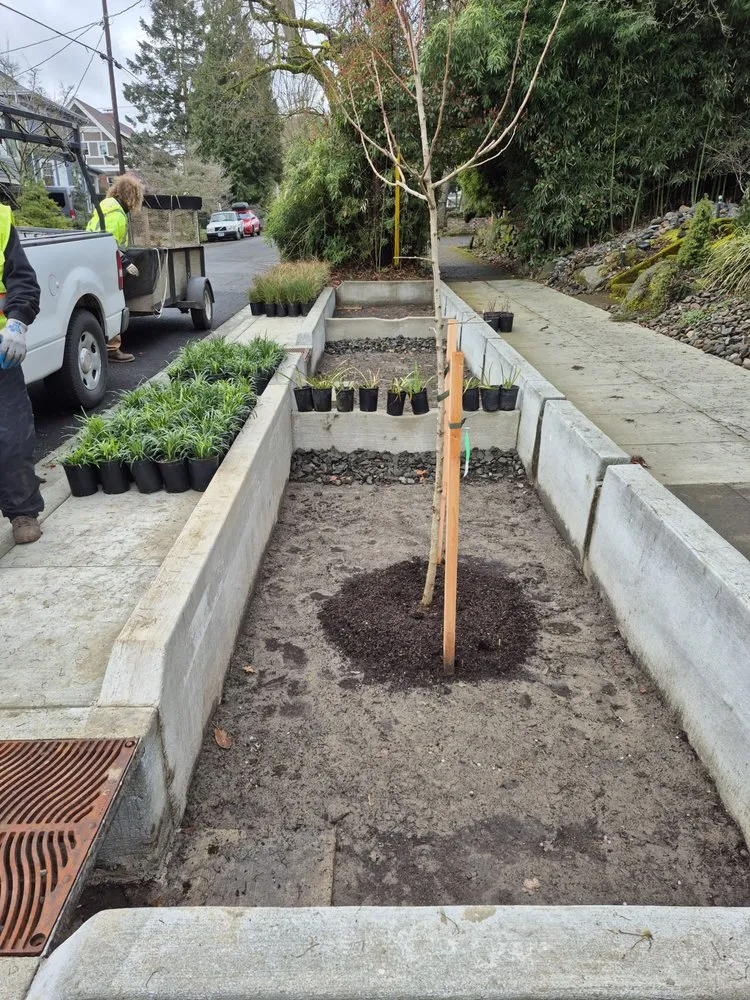 Expert lawn care service experts serving Portland, OR - Carlos Landscaping