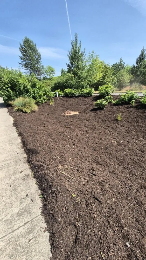 Top-rated landscaping services for residential properties in Portland, OR by Carlos Landscaping