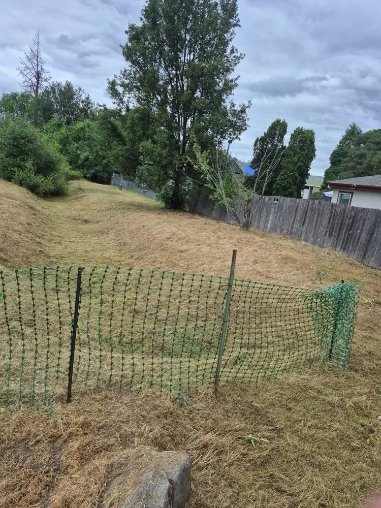 Affordable outdoor landscaping for year-round maintenance across Portland, OR - Carlos Landscaping