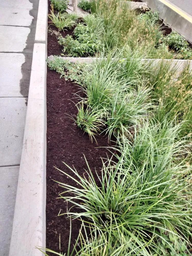 Expert residential landscaping for year-round maintenance across Portland, OR - Carlos Landscaping