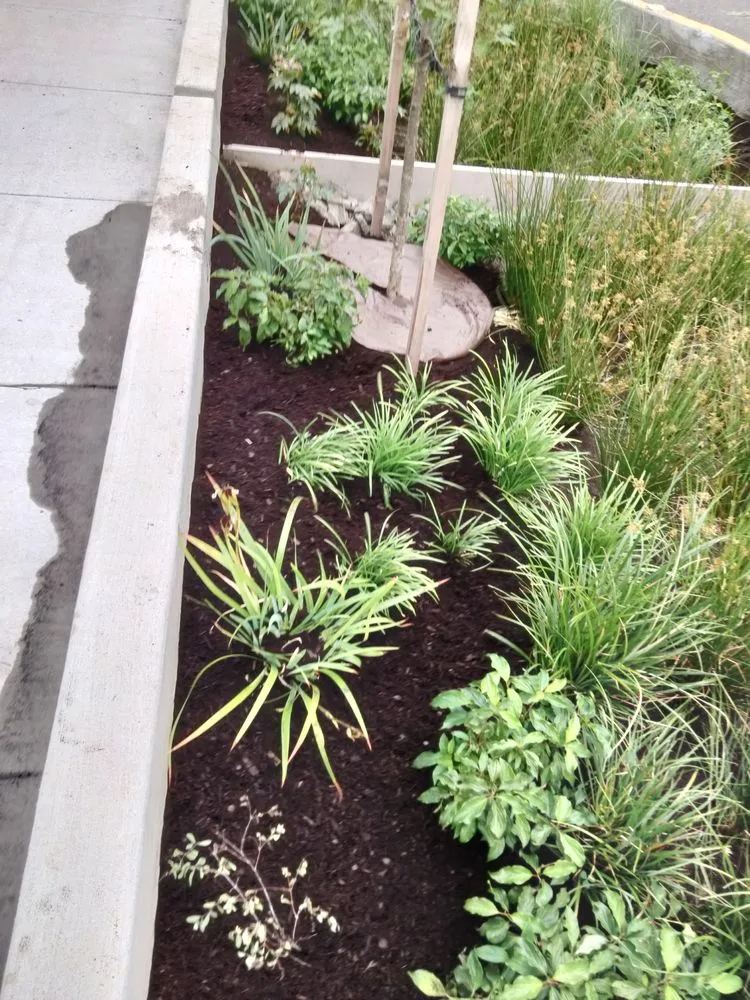 Reliable residential landscaping in Portland, OR by Carlos Landscaping
