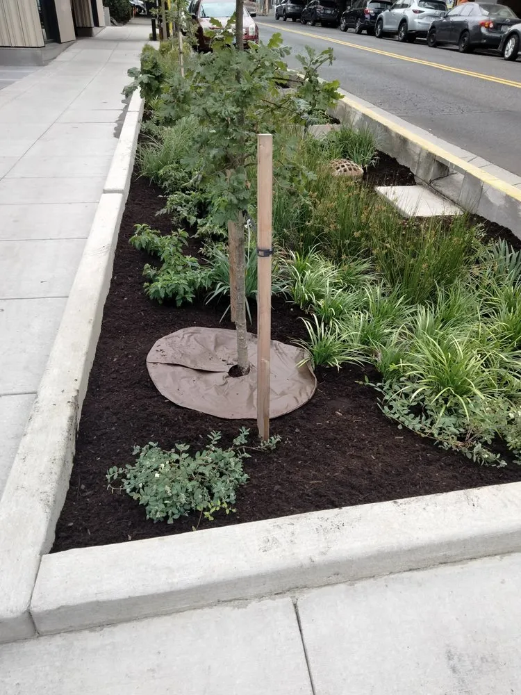 Local landscaping services in Portland, OR - Carlos Landscaping