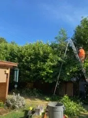 Top-rated garden landscaping for year-round maintenance in Portland, OR by Carlos Landscaping