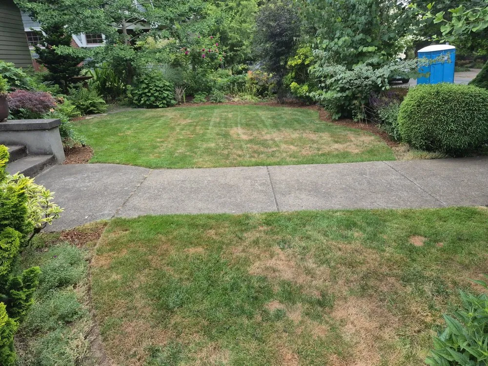 Trusted outdoor landscaping in Portland, OR by Carlos Landscaping