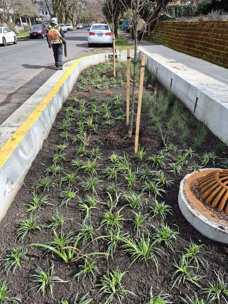 Top-rated garden landscaping in Portland, OR by Carlos Landscaping