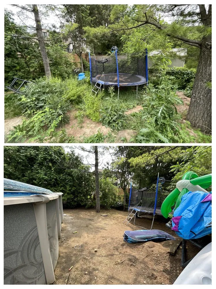 Custom garden landscaping for residential properties across Santa Ana, CA - Carlos Landscaping