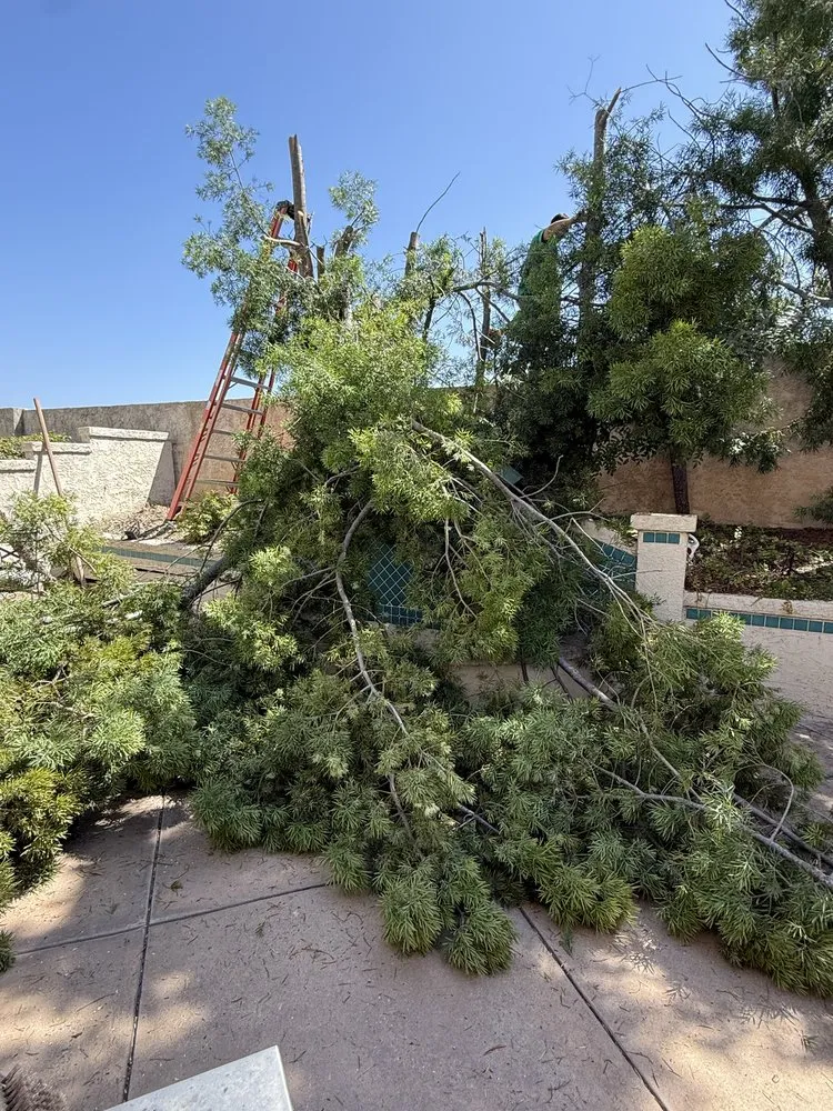 Custom outdoor landscaping in Santa Ana, CA - Carlos Landscaping