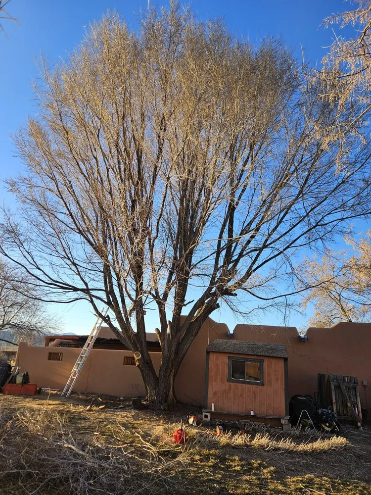 Reliable landscape installation experts serving Santa Fe, NM - Carlos Landscaping