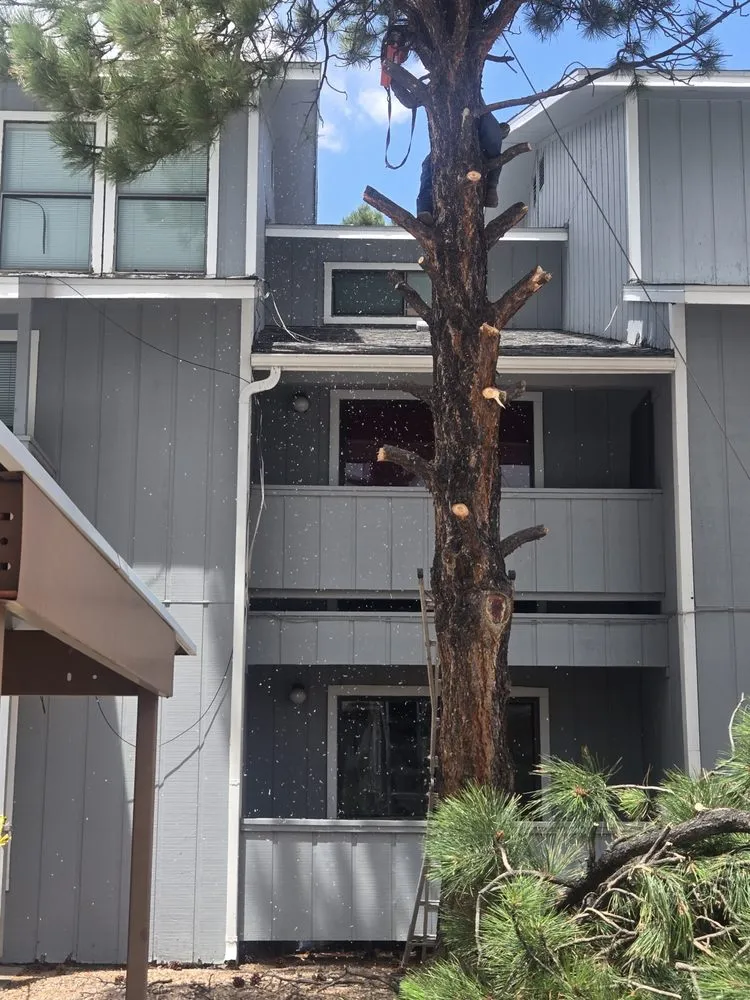 Affordable landscape design experts serving Santa Fe, NM - Carlos Landscaping