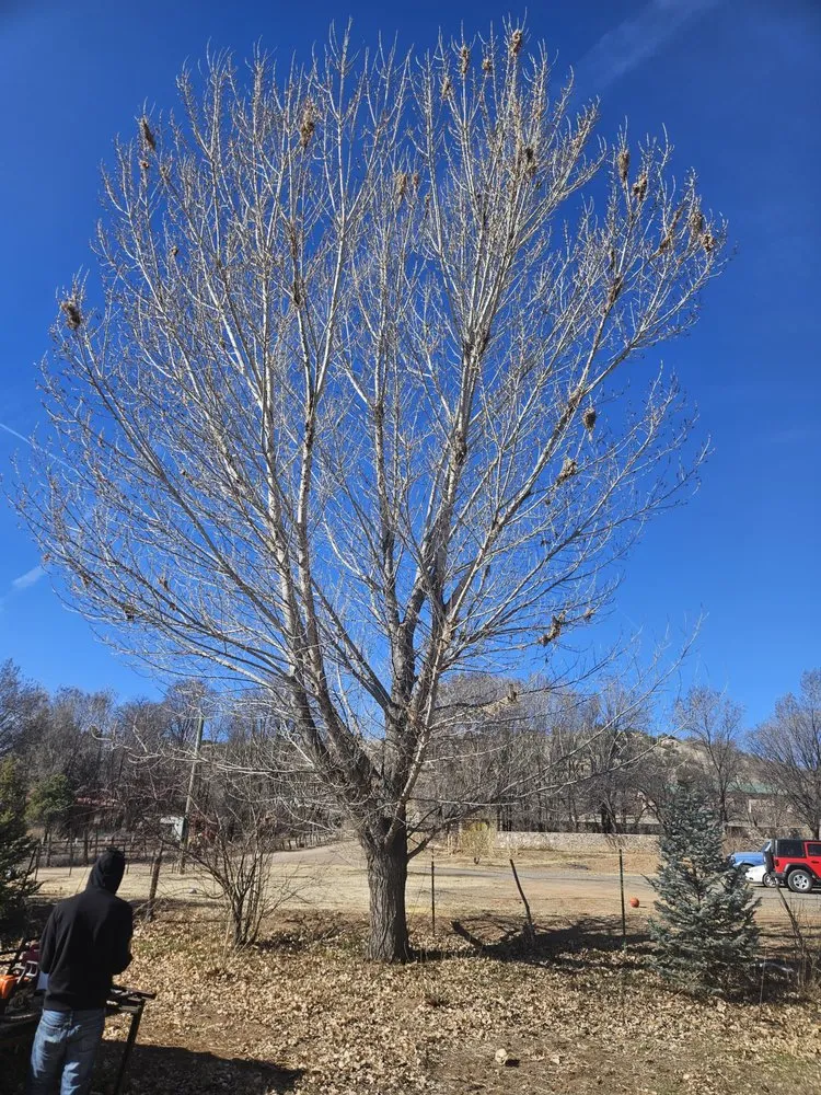 Expert residential landscaping for beautiful yards across Santa Fe, NM - Carlos Landscaping