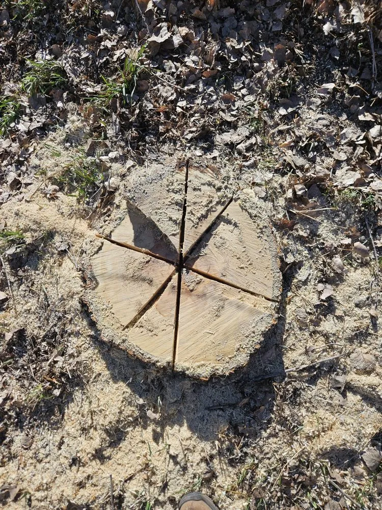 Professional landscaping services experts serving Santa Fe, NM - Carlos Landscaping