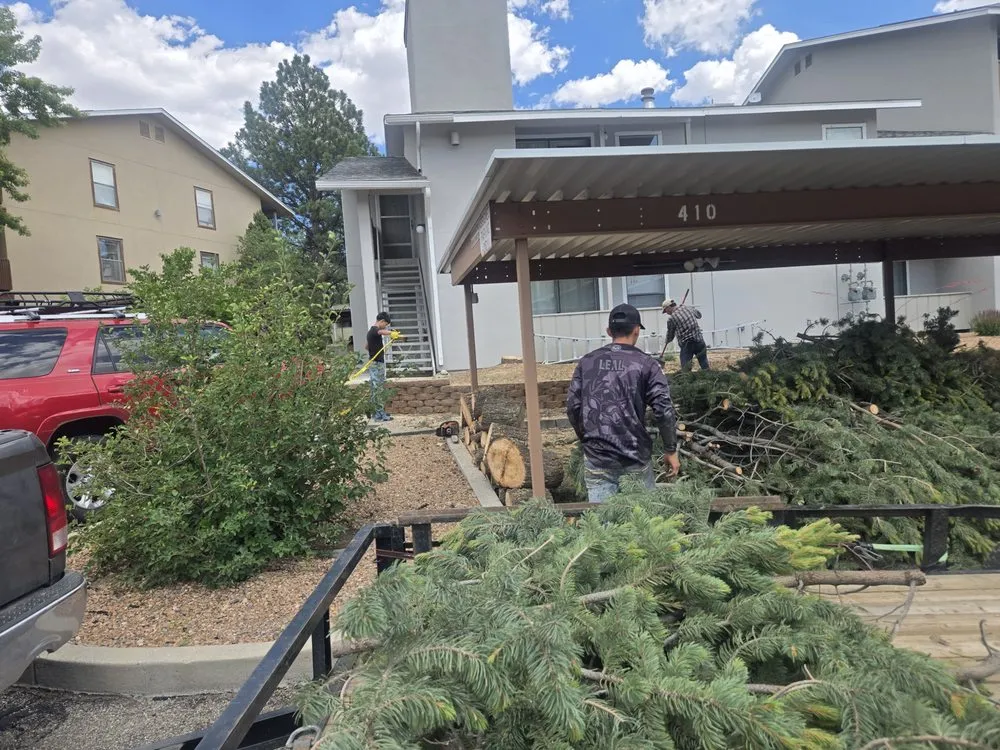 Professional landscaping services in Santa Fe, NM by Carlos Landscaping