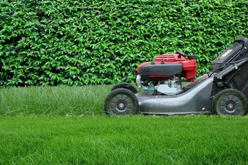 Reliable landscaping services for beautiful yards in Houston, TX by Carlos Landscaping Service