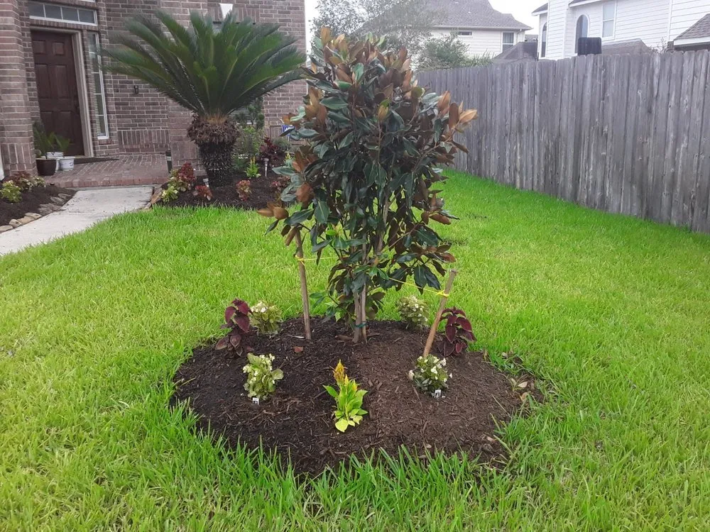Reliable residential landscaping for residential properties across Houston, TX - Carlos Landscaping Service