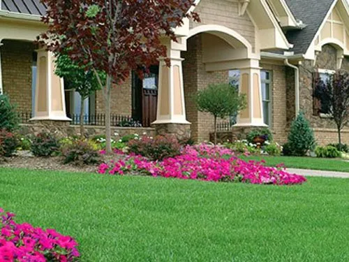 Trusted landscape design in Houston, TX by Carlos Landscaping Service